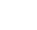 Intégrité Icon